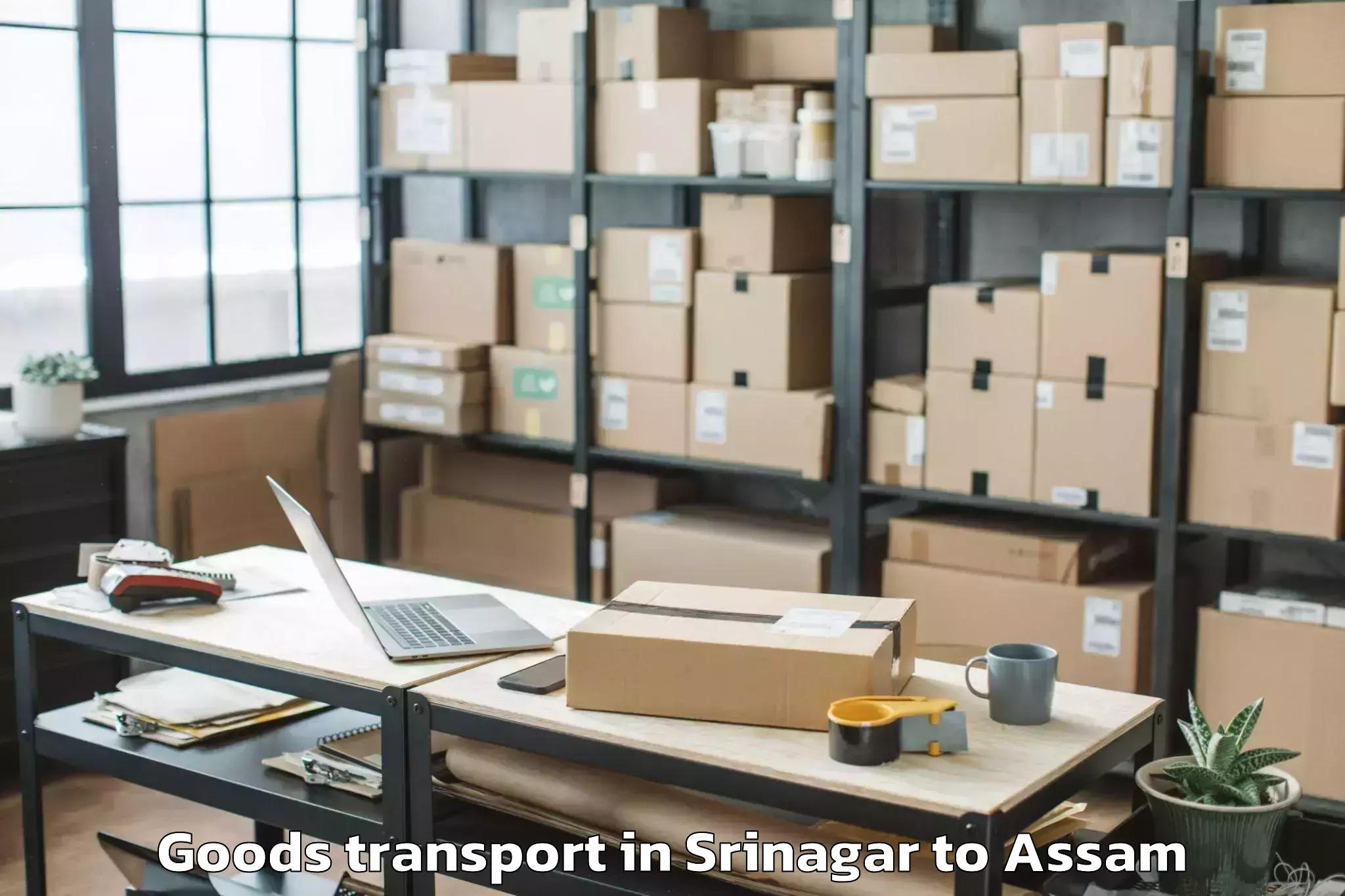 Efficient Srinagar to Sarthebari Goods Transport